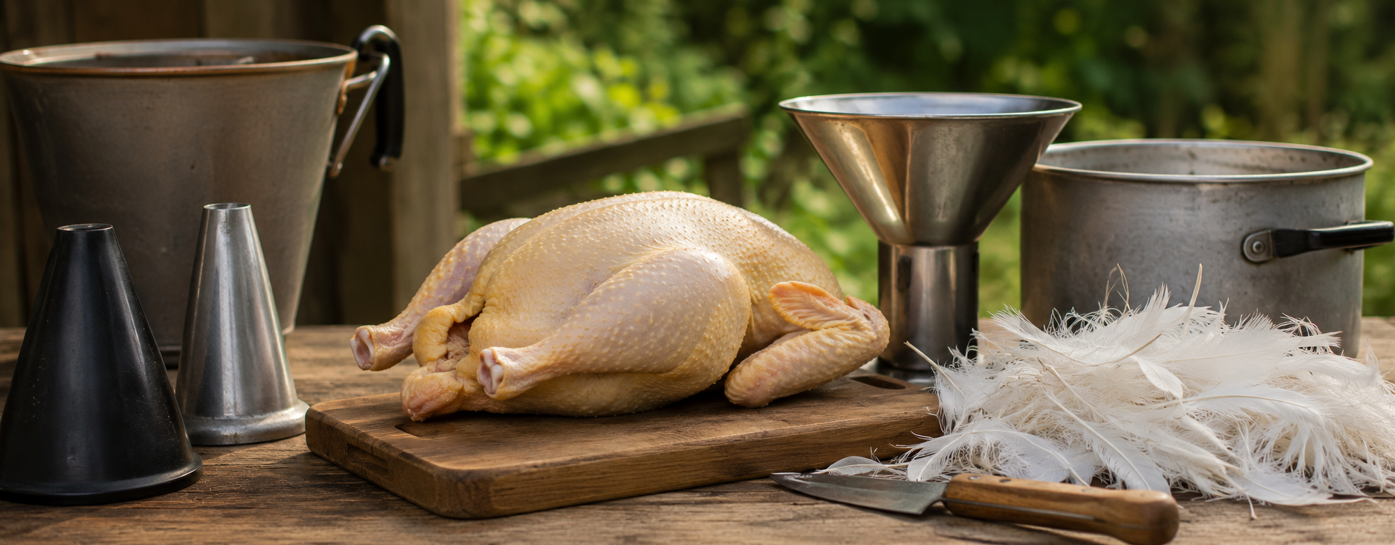 Image illustrant la FAQ gavage abattage et plumage